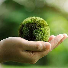 Are reusable paper towels better for the environment?