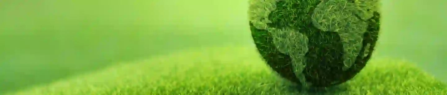 Laundry Detergent Global